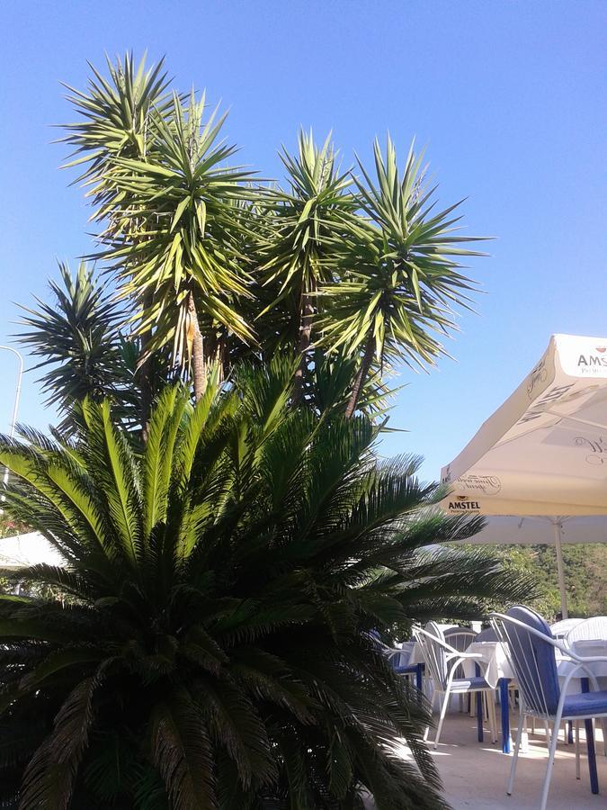 Hotel Jovana Budva Eksteriør billede